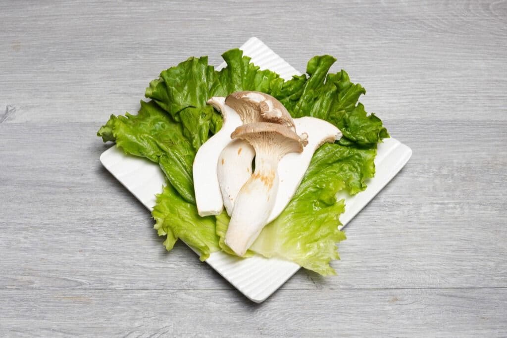 King Oyster Mushroom (6 pcs)/ 皇子菇