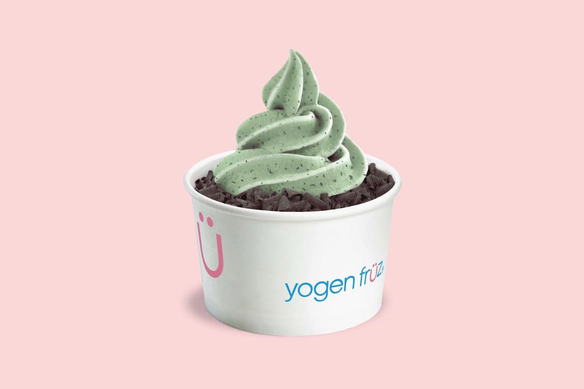 Mint Chocolate Chip Froyo