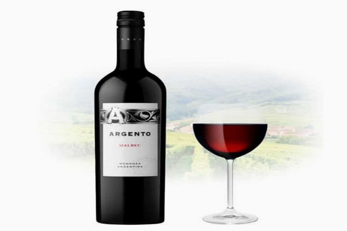 ARGENTO MALBEC (1 x 750 ML)