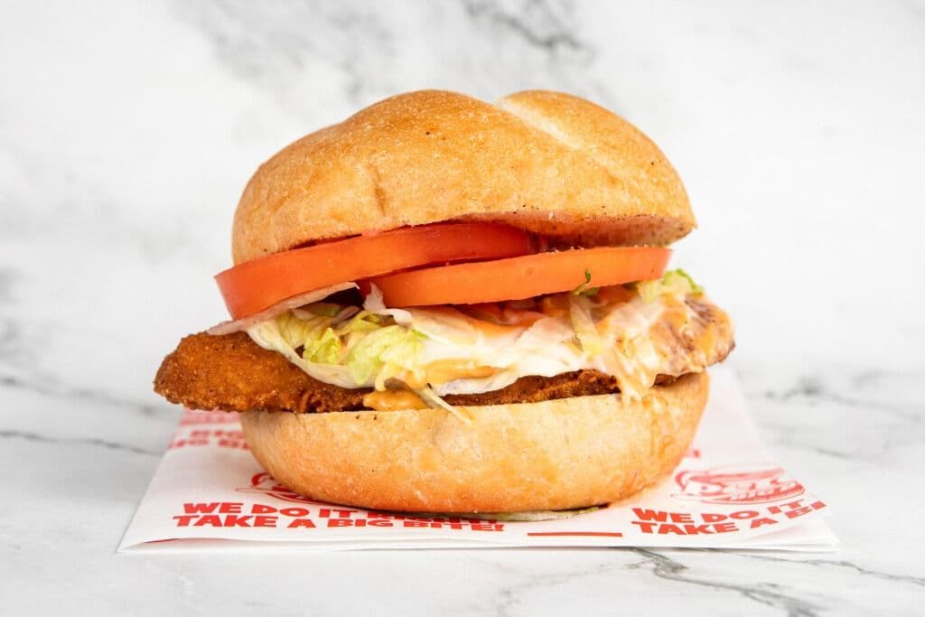 Crispy Deep Fried Chicken Bun Combo