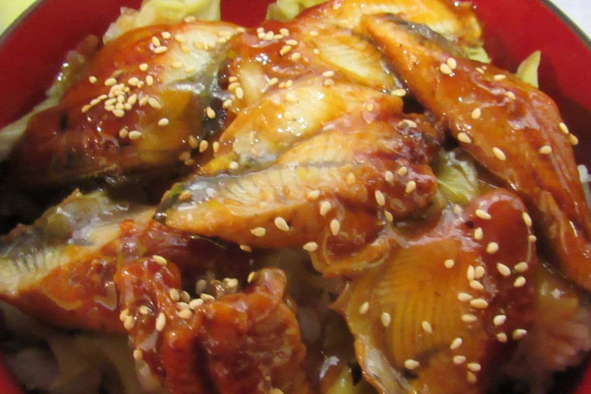 Unagi Donburi