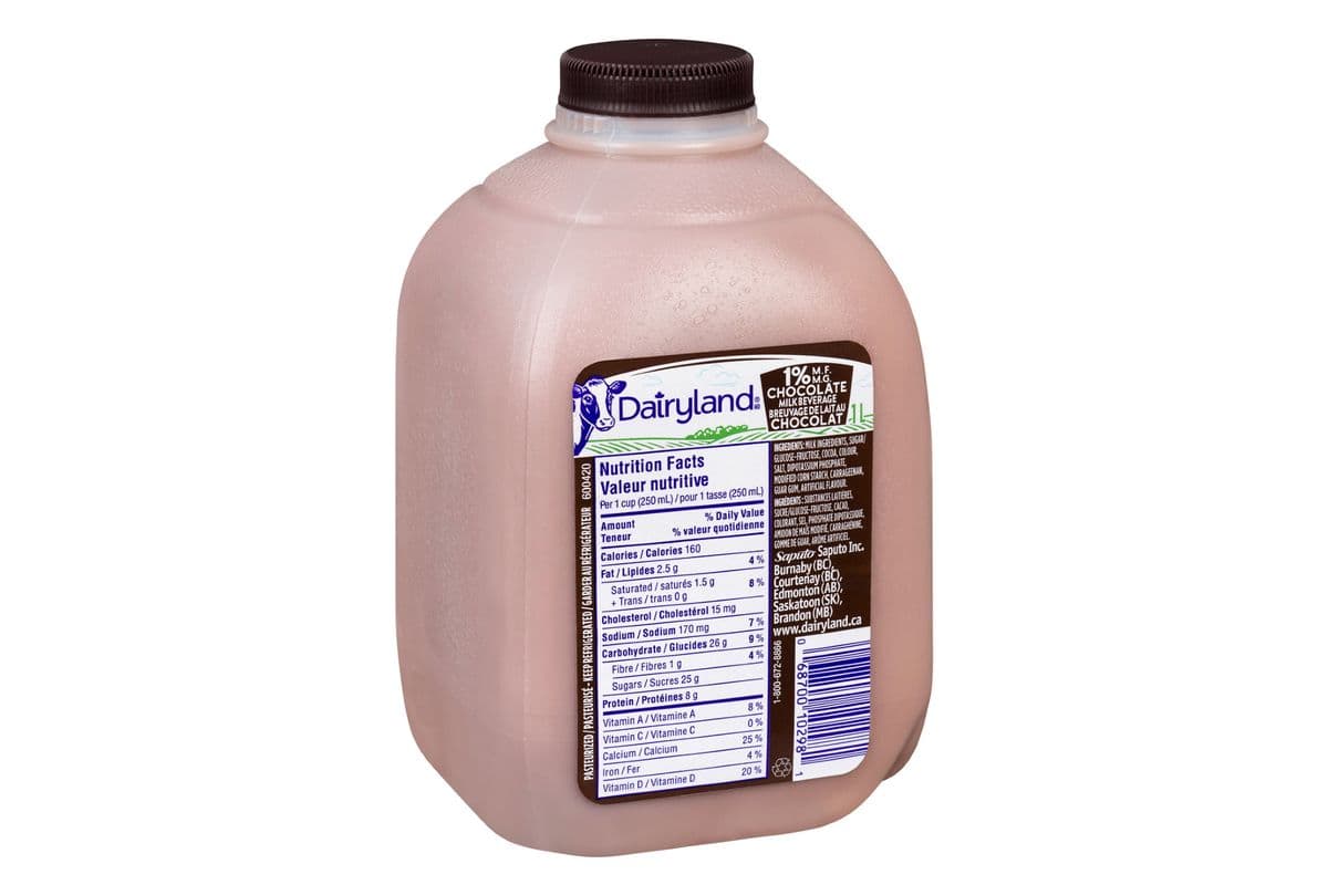 Dairy Land Chocolate Milk (1 L)