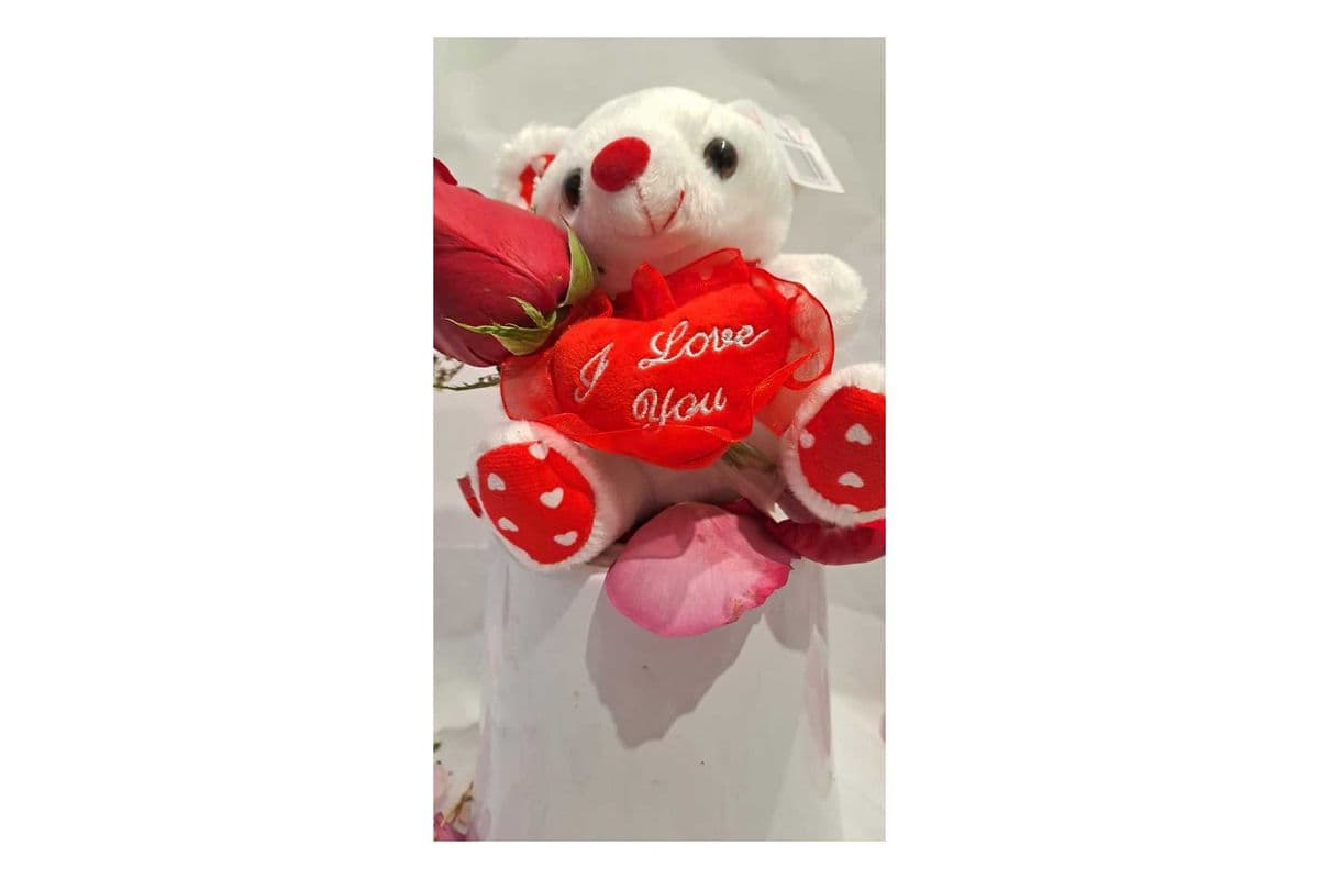 Bear holding Red Rose