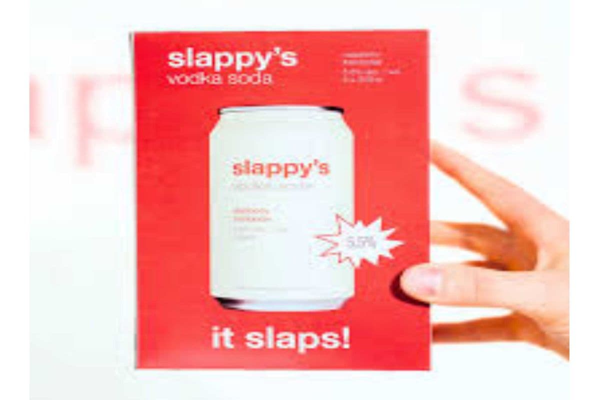 SLAPPYS RASPBERRY VODKA SODA 6*355ML (1 x 355ML)