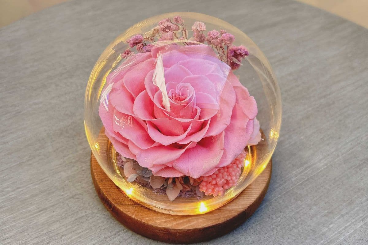 Preserved Single Rose Glass Dome #2 - Pink