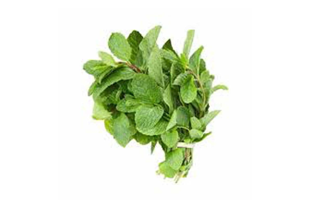 Steve's Mint