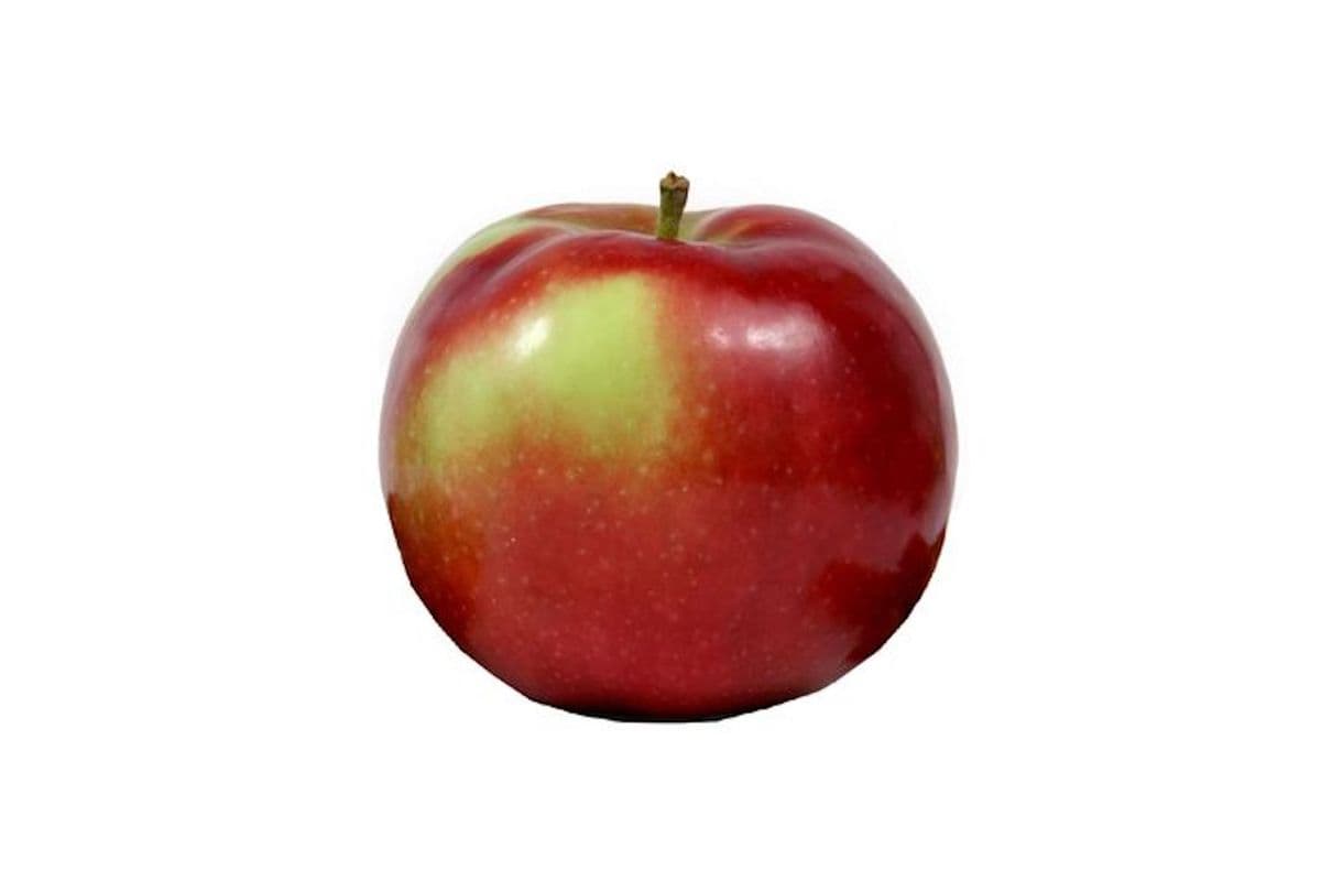 Macintosh Apples (1 lb)