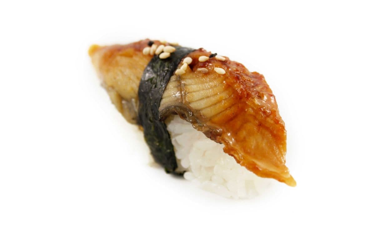 502. Unagi (sashimi: 1 mcx)