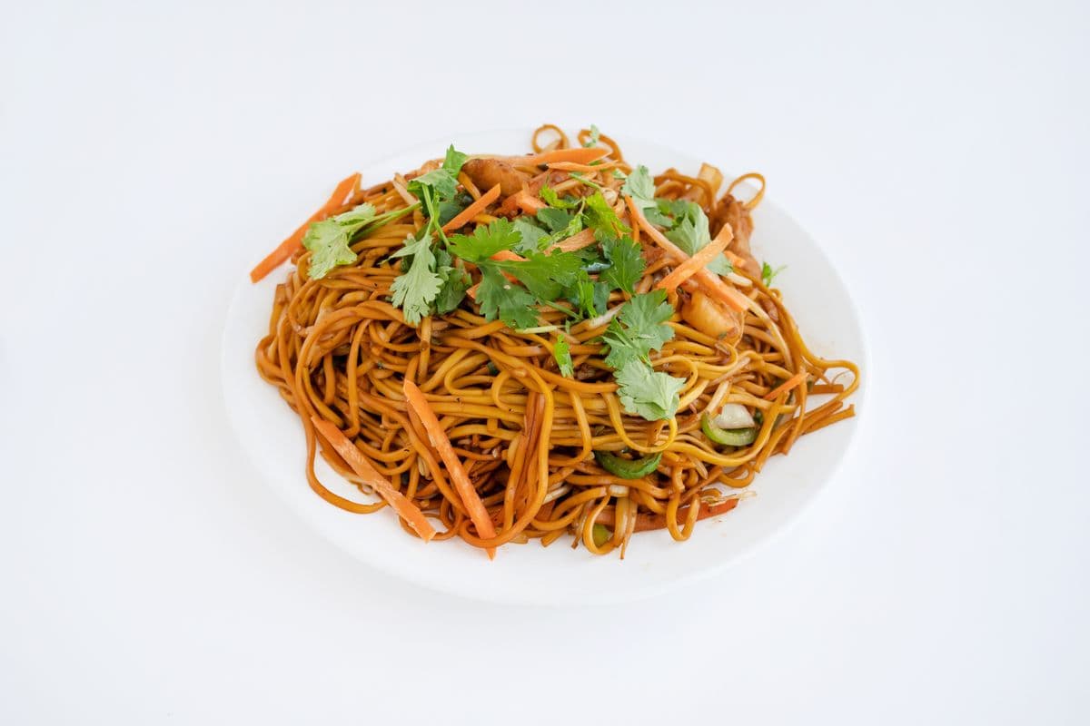 N01. Manchurian House Special Hakka Noodles