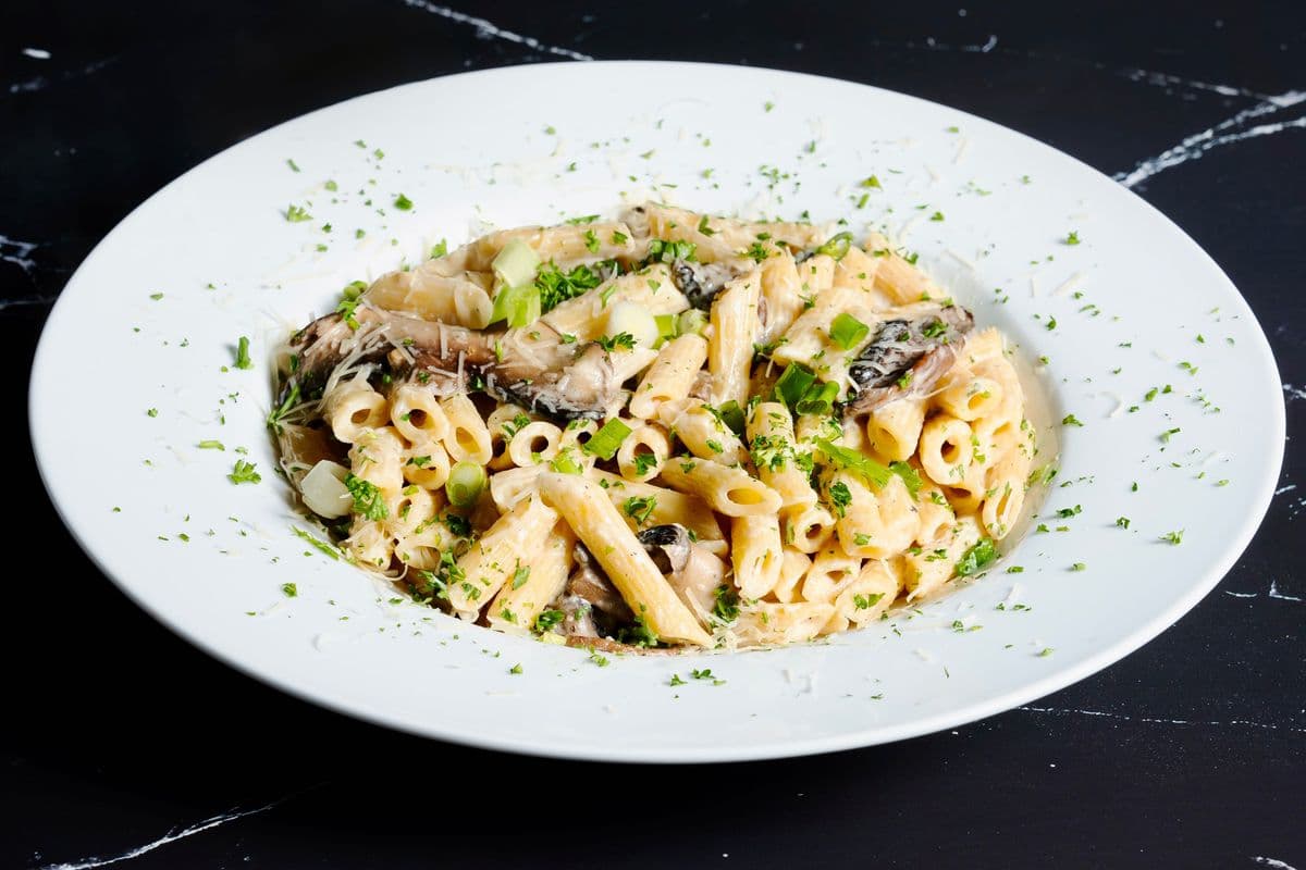 Penne Alfredo