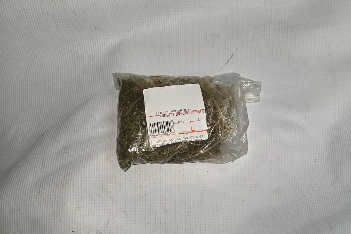FEUILLE ASSOROSSI