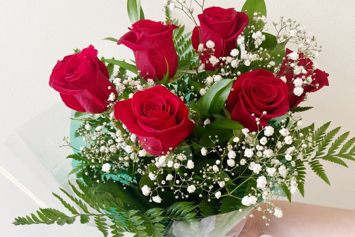 6 Red Roses
