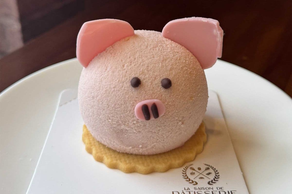 Piggy
