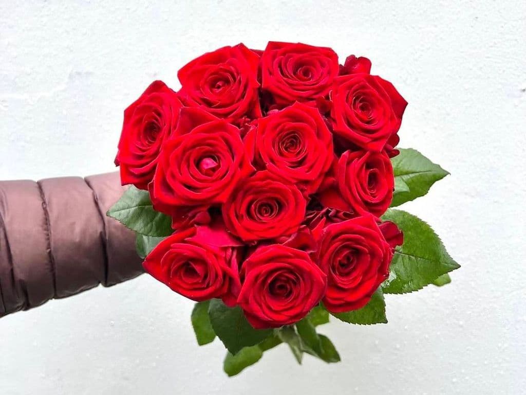 Flowers - Local Rose Red bouquet (12 stems)