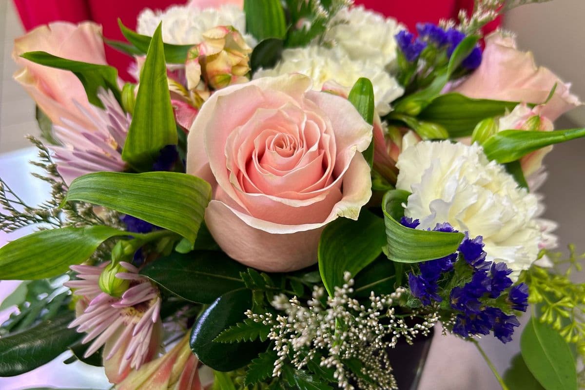 Pink Rose