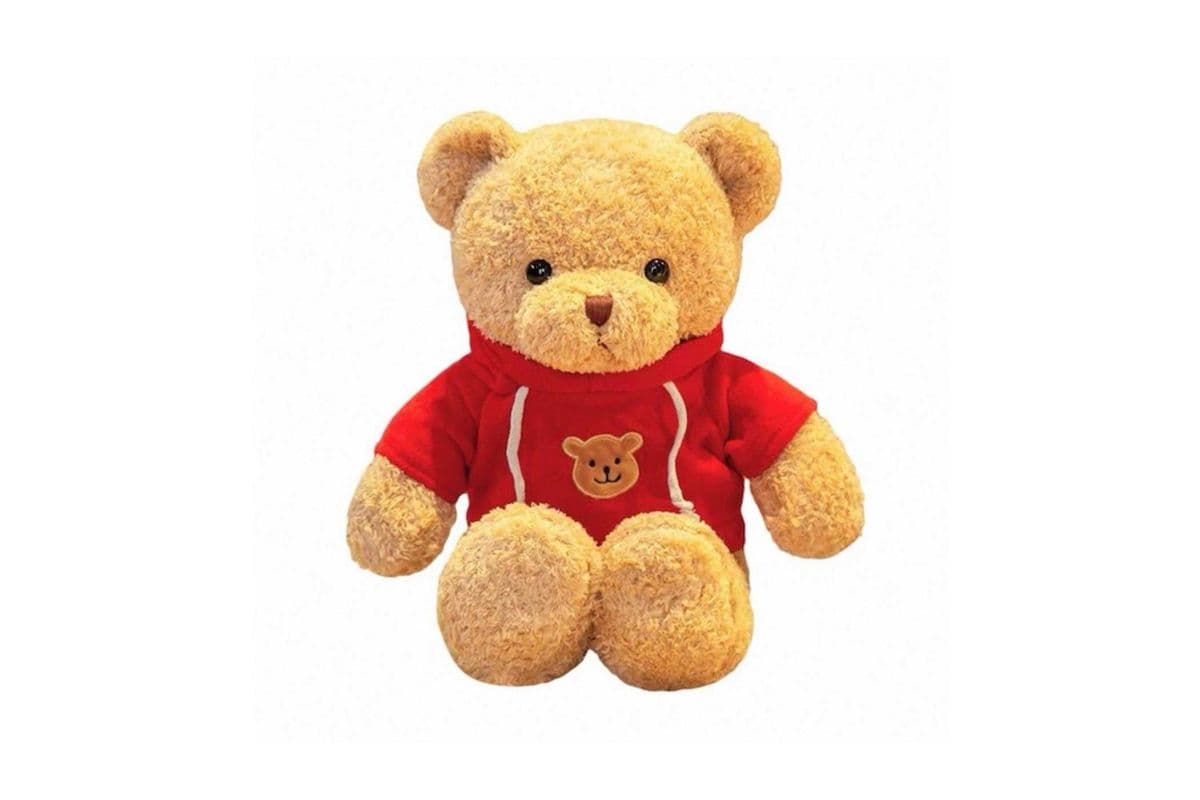 Teddy Bear (25 to 30 cm tall)