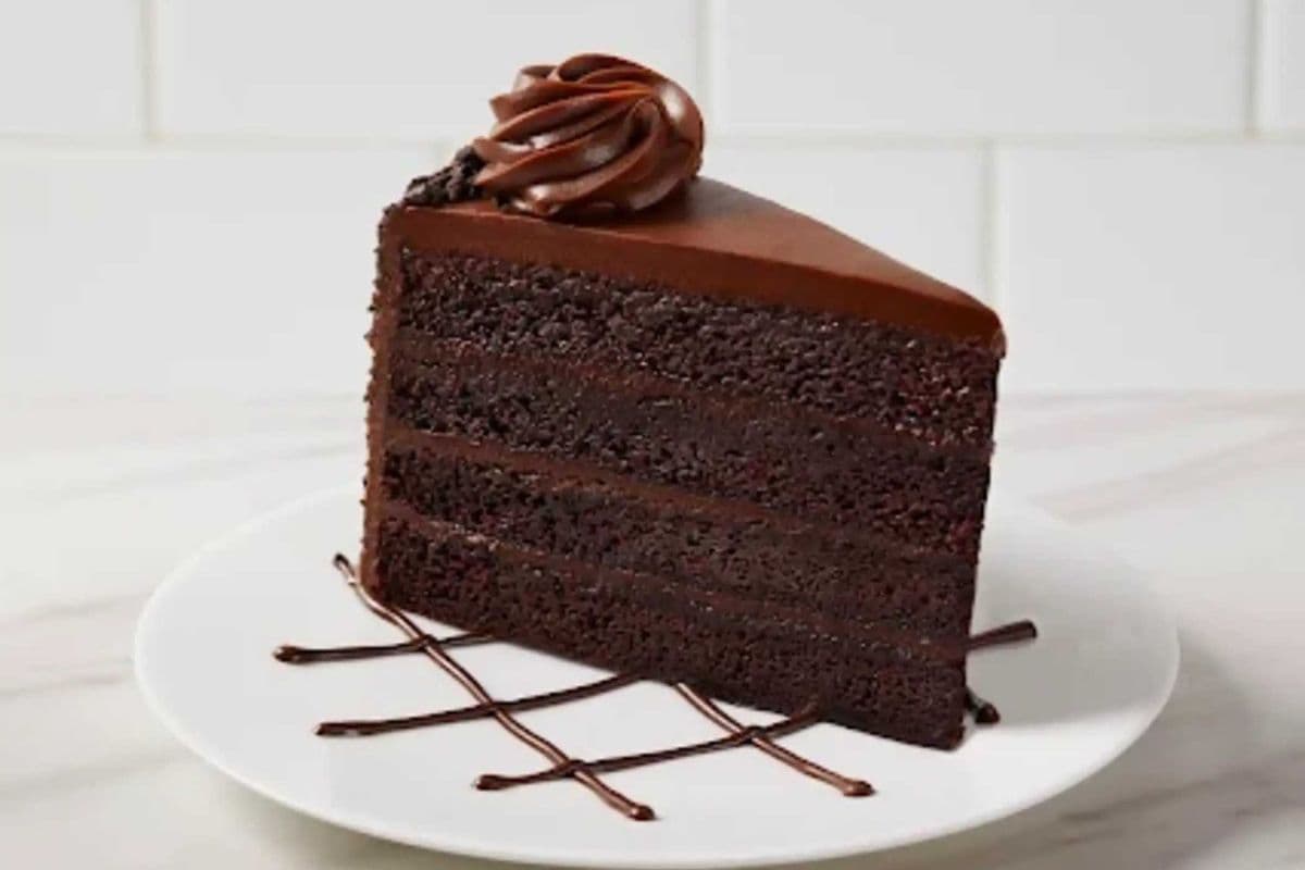 Fudge Cake (The Cheesecake Factory Bakery®)