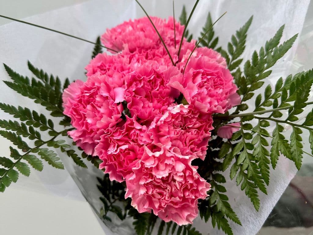 (GREAT VALUE) CARNATION BOUQUET