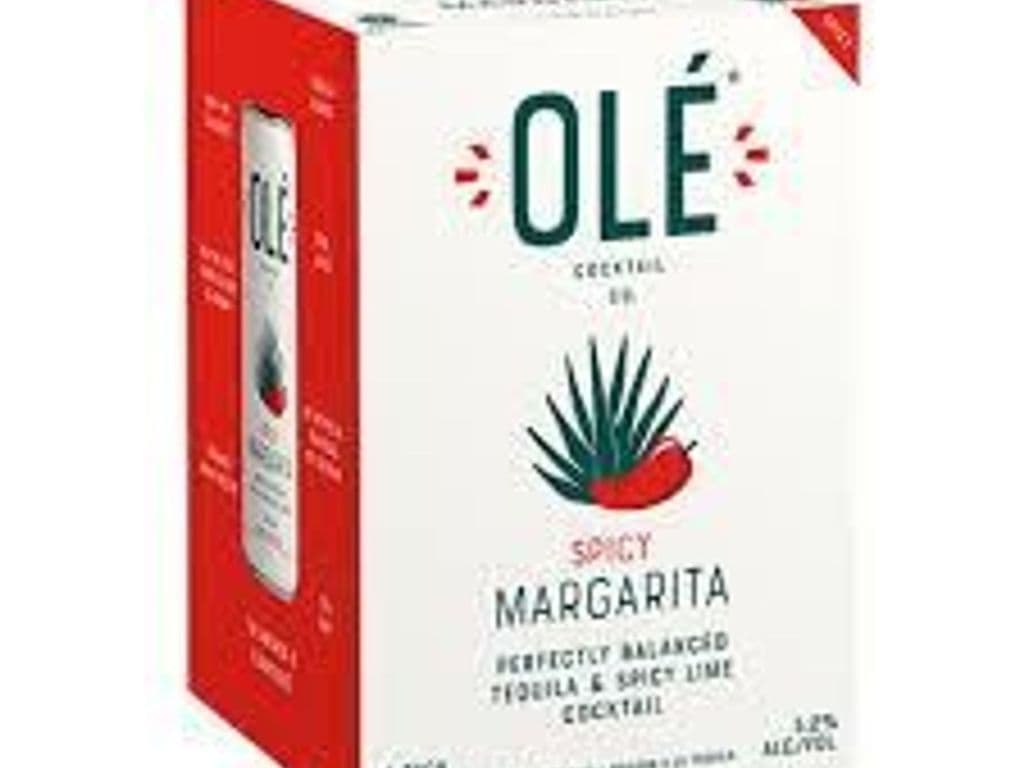 OLE Regular SPICY MARGARITA, 4 x 355ml
