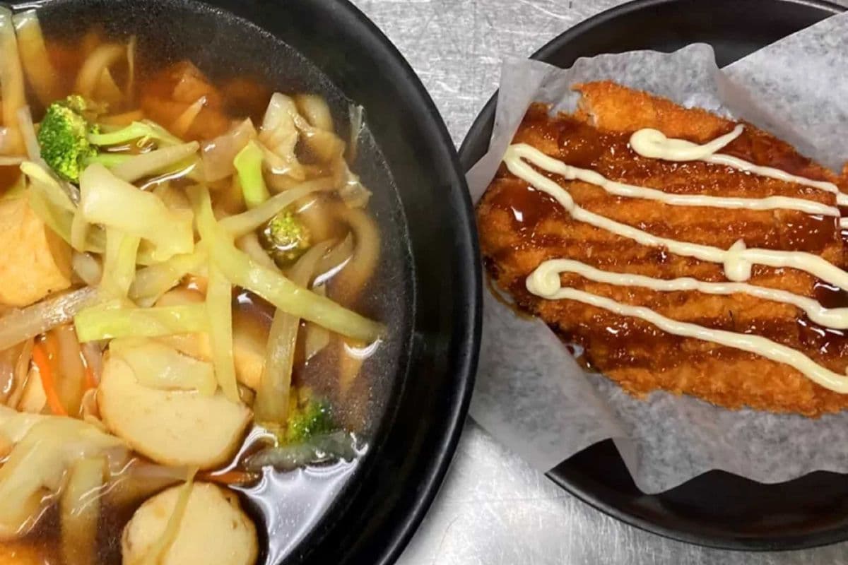 Udon Noodle Soup with Small Tonkatsu