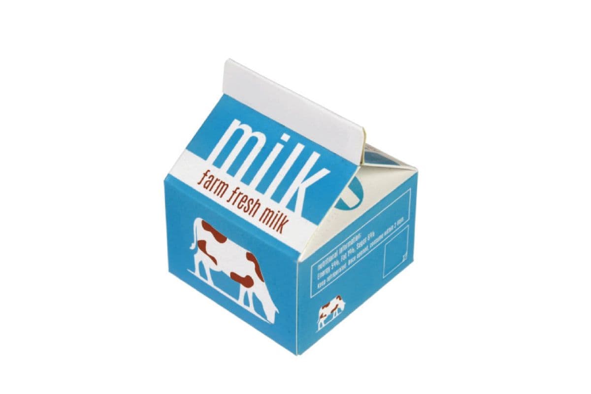 Chocolate Milk (473 ml)