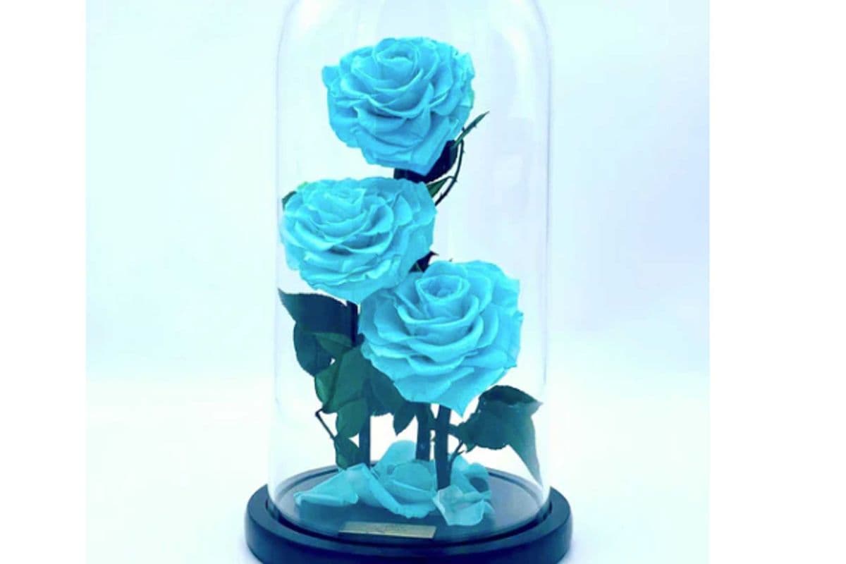 Eternity 3-in-1 Roses in Enchanted Glass Dome (15x30 cm)