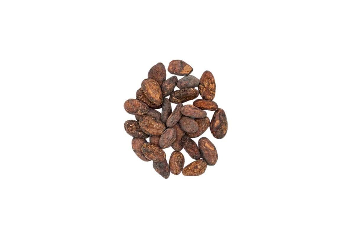 Dried Cocoa Beans (Spice Seed)