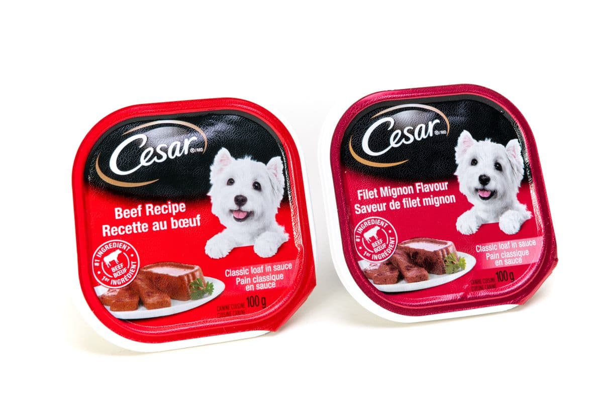 Cesar Dog Food