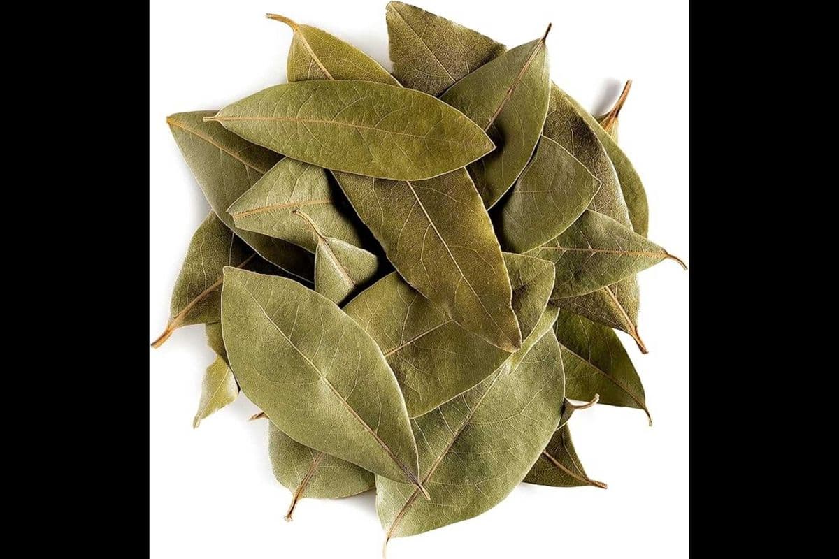 Bay Leaves