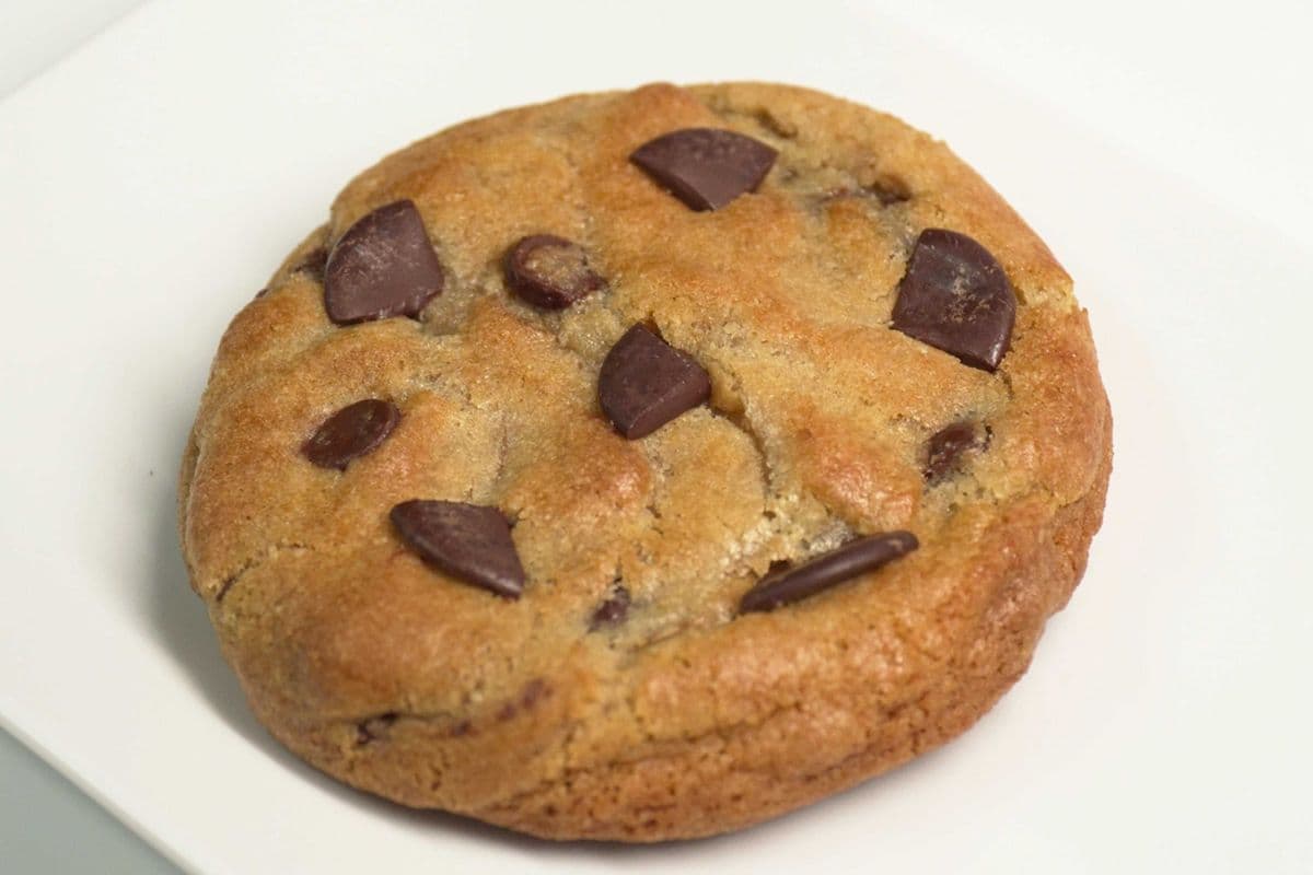 Cookie Chocolate Chip