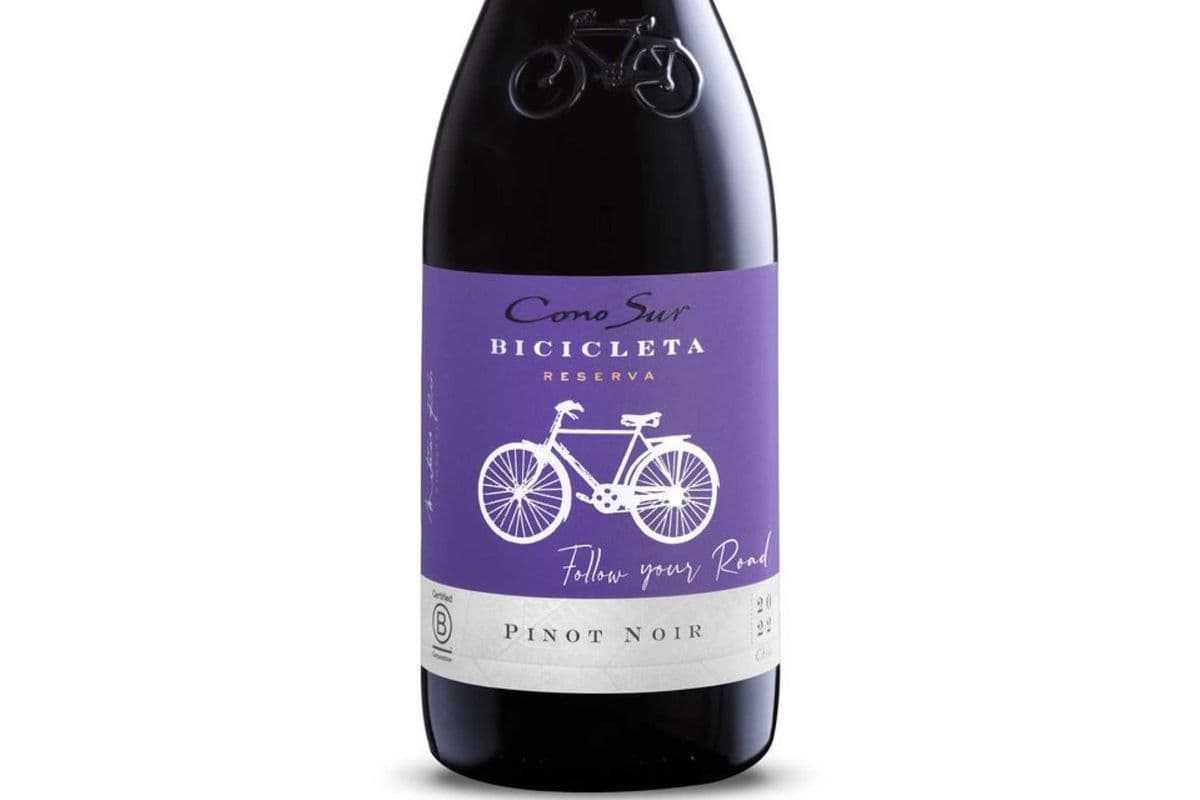 Chile - Cono Sur Pinot Noir 750ml (1 x 750 ml)