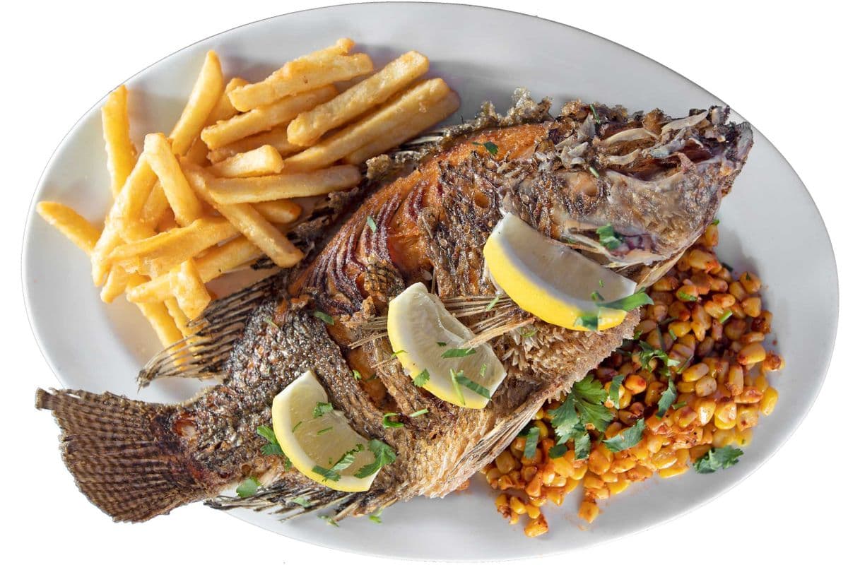 Tilapia Fish