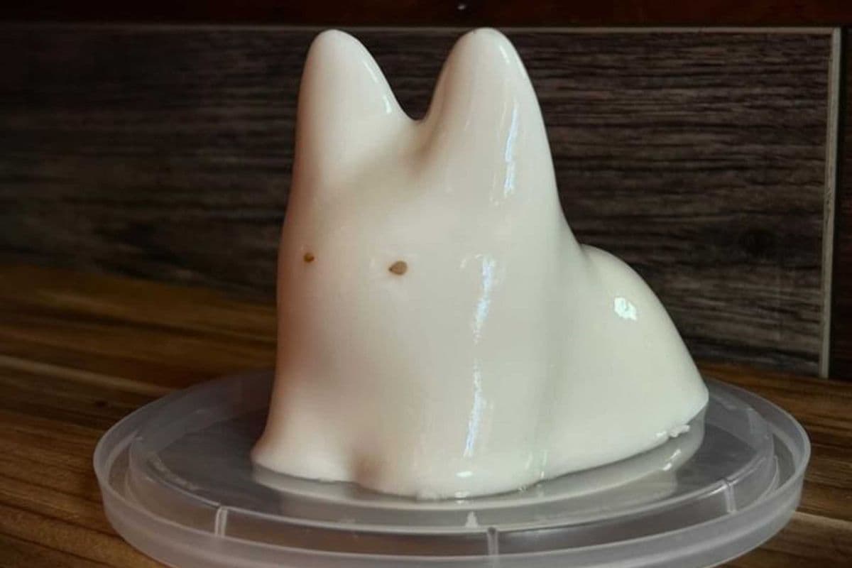 Cat Pudding - Milk Flavour