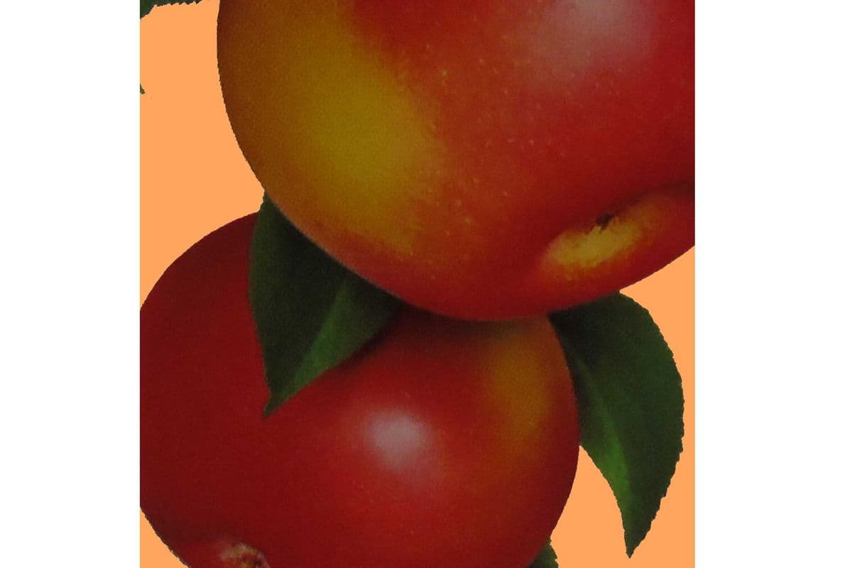 JUS DE POMME