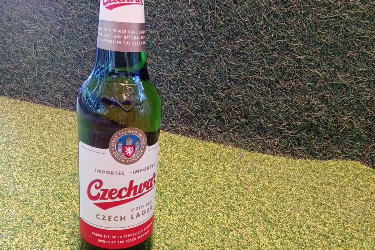 Czechvar (1 x 500 ml bottle)
