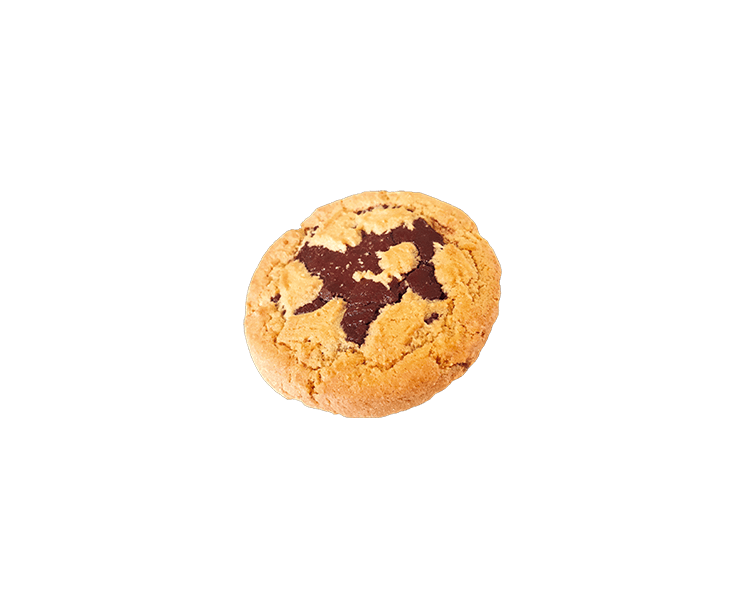 Biscuit