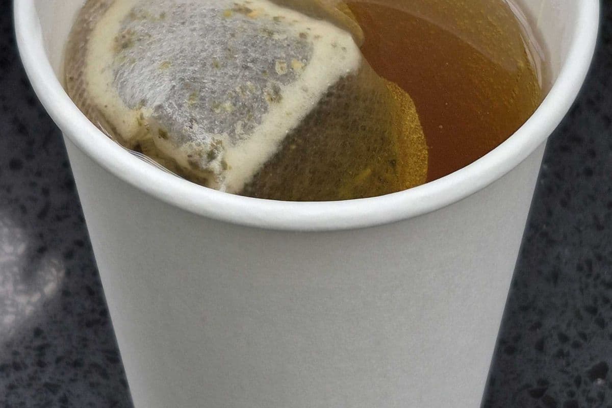 Green Tea (Hot) (Small)