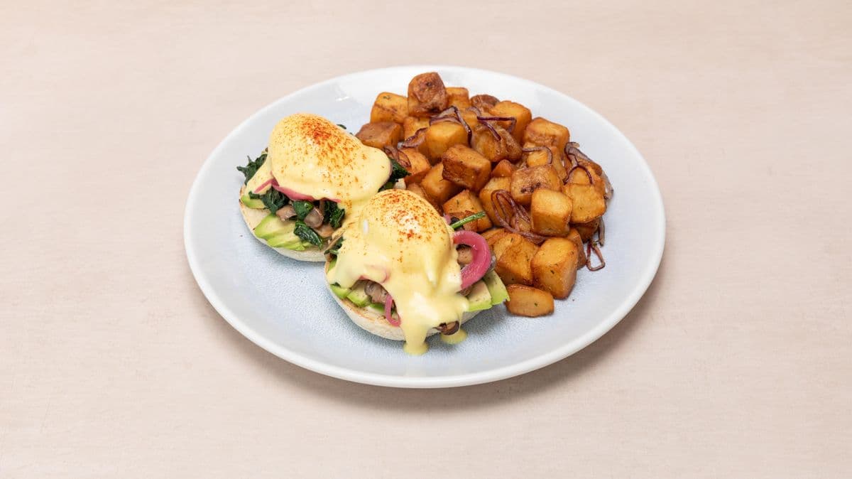 Fresh Start Benedict / Nouveau départ