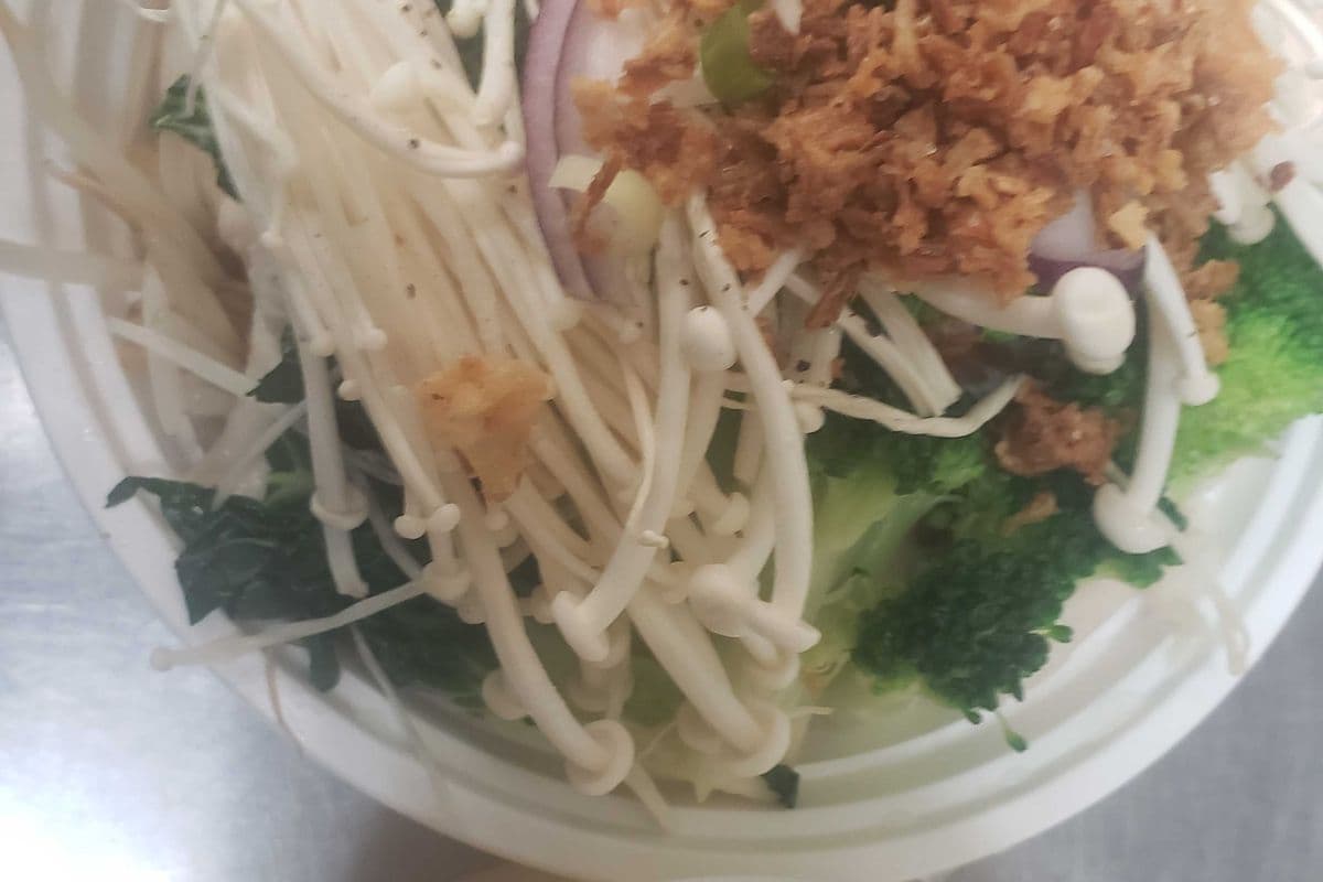 S2. Chicken Noodle Soup