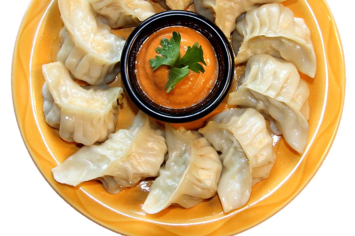 Chicken Mo:Mo (Steam/Fried) (Dairy-Free)
