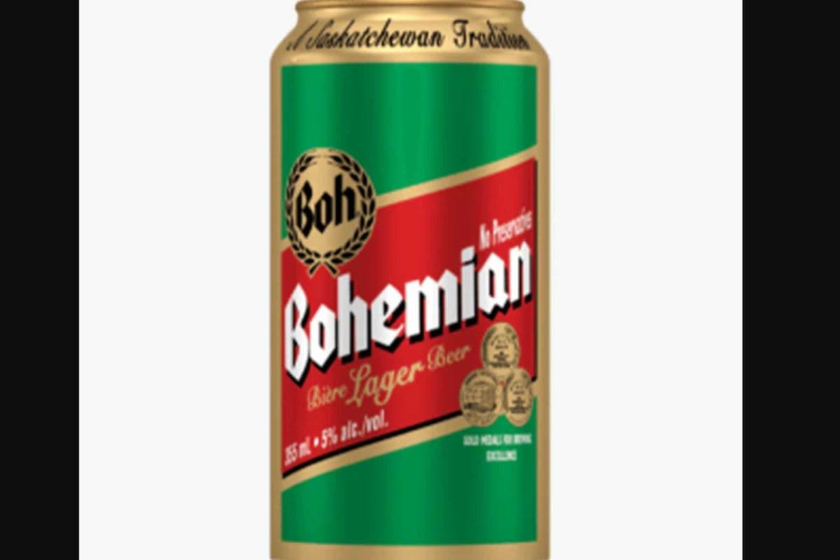 Bohemian (8 x 8 pack)