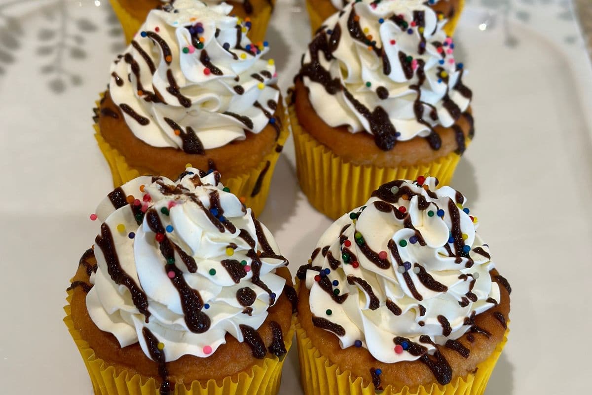 Vanilla Sprinkle Cupcake