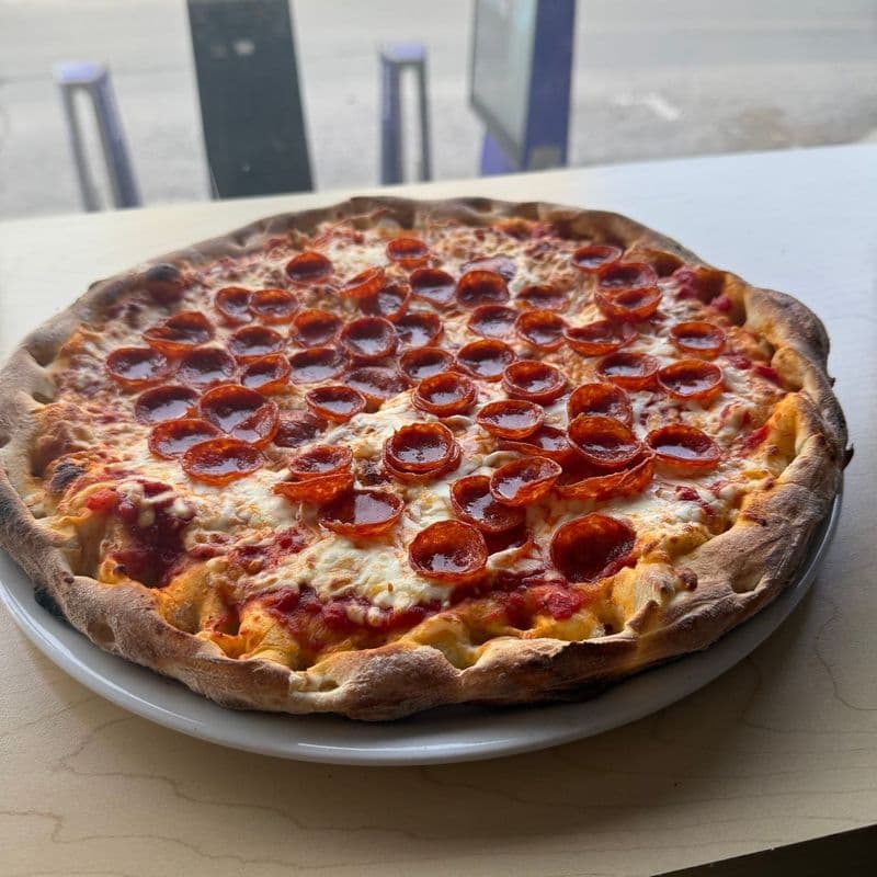 (P) 10" NEW YORKER