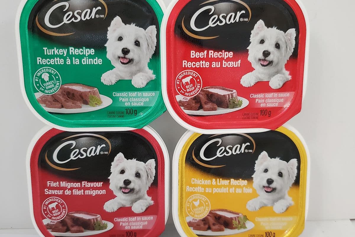 Ceser Dog Treat