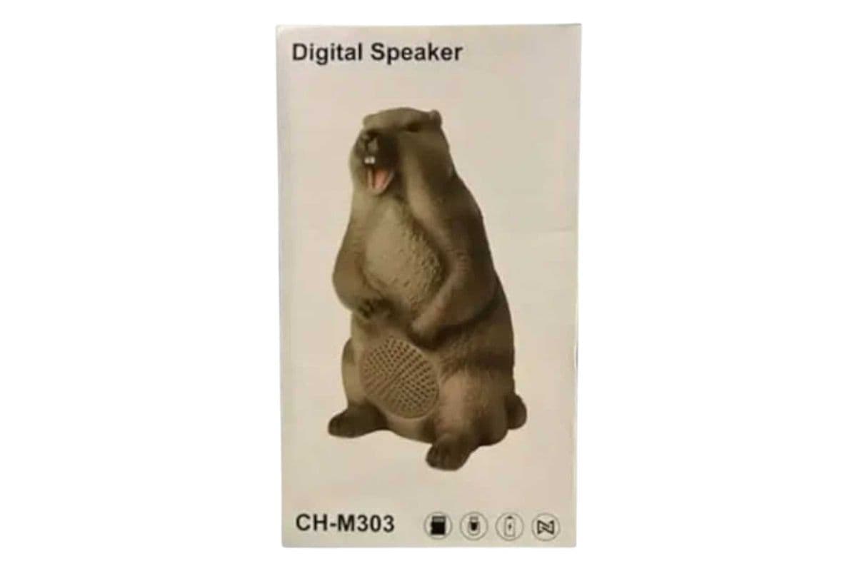 Digital Speaker CH-M303