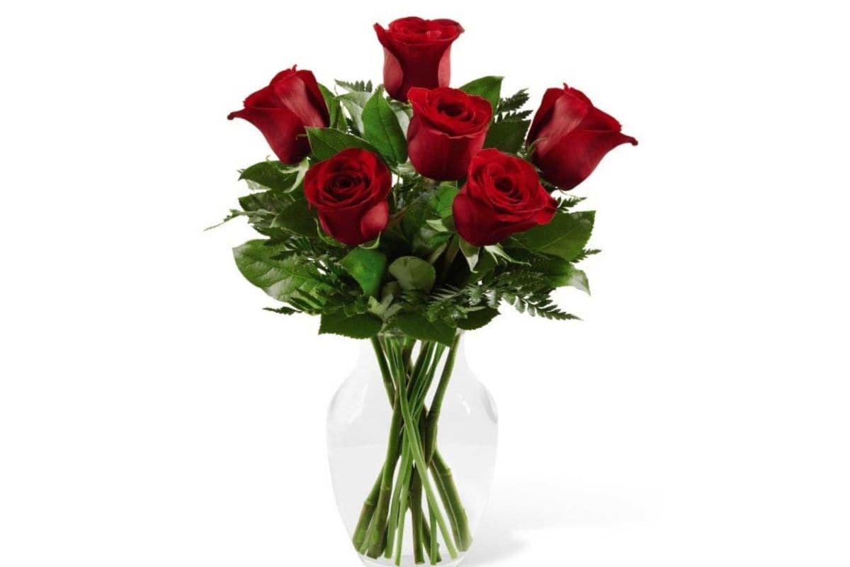 6 Red roses in a vase