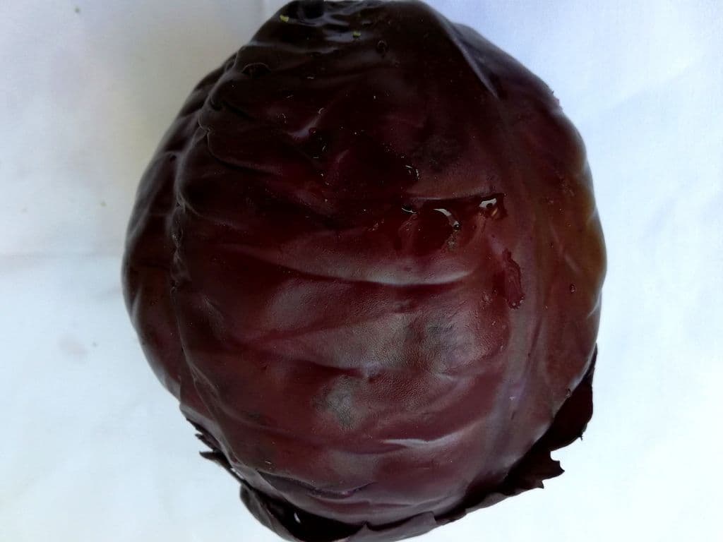 Cabbage Red (Each)