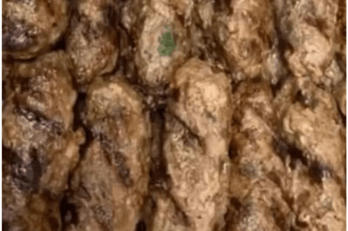 Skewer of Grilled Beef Kebab