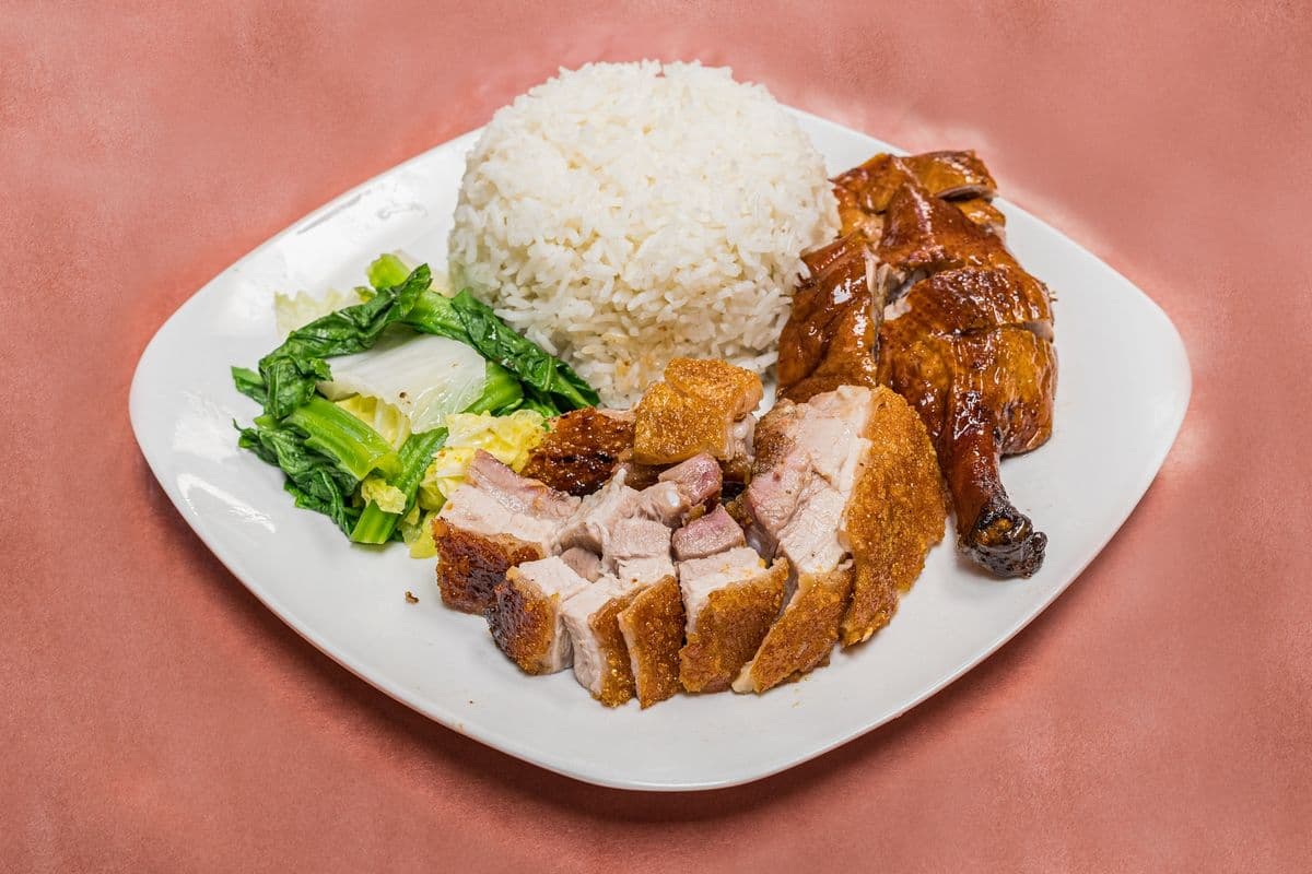 Roast Pork and BBQ Duck with Rice