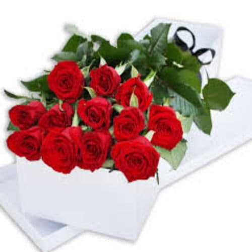 Une Douzaine de Roses Rouge/ 1 Dozen Red Roses